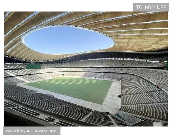 南非宣布退出青奥会申办,重心转向世界杯体育场维护 南非宣布退出青奥会申办,重心转向世界杯体育场维护